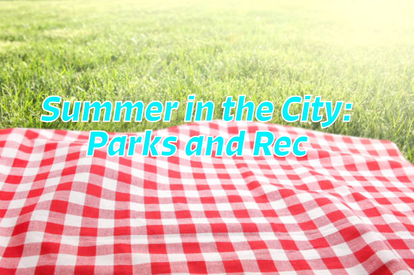 Summer in the City : Parks and Rec