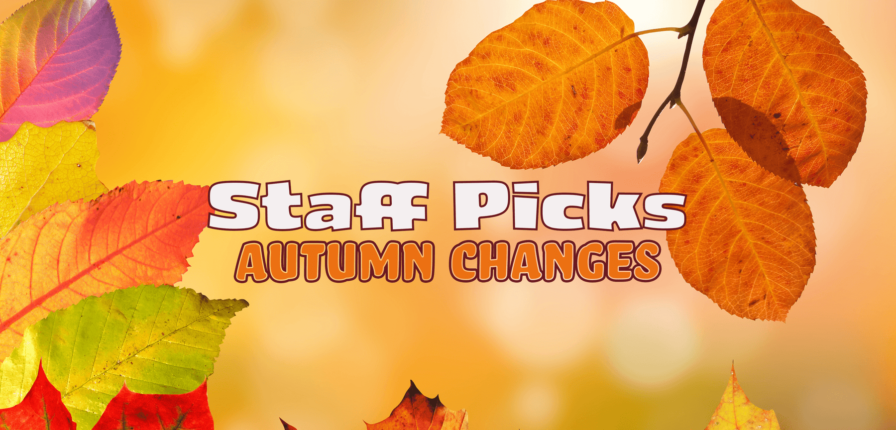 Spotlight September 2021 Autumn Changes