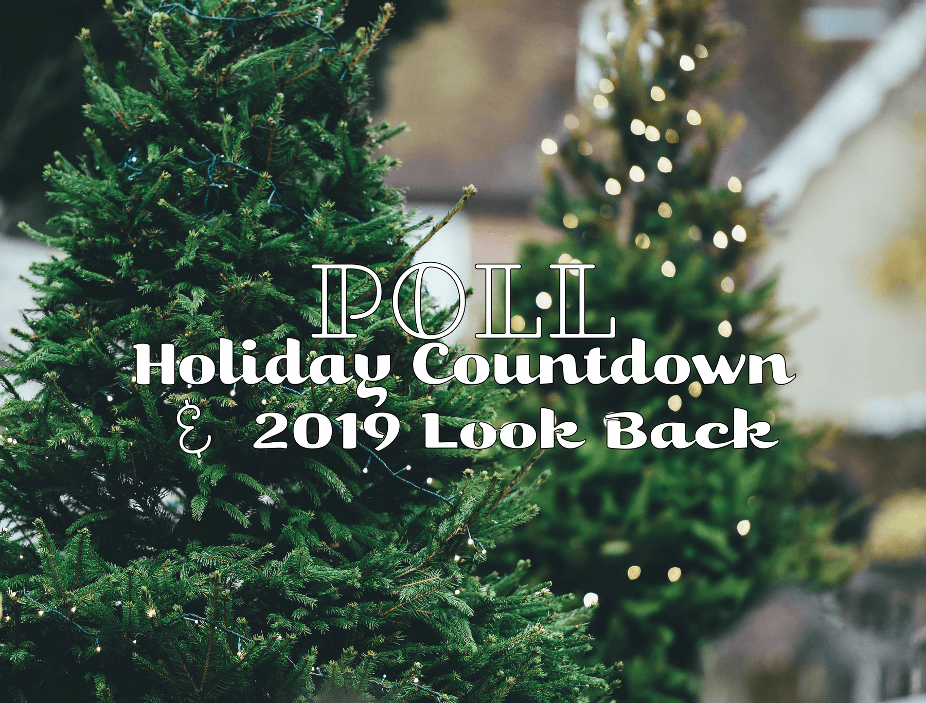 Poll : Holiday Countdown and 2019 Look Back