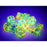 Dice Set 12d6 Nebula Luminary (16mm) 27755 Spring / White