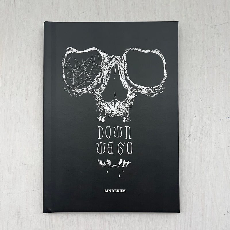 Down We Go (Hardcover)