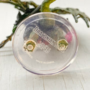 Mini - D&D Icons of the Realms : Fizban's Treasury of Dragons : Draconian Mage 23/46