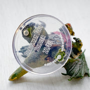 Mini - D&D Icons of the Realms : Fizban's Treasury of Dragons : Draconian Foot Soldier 22/46