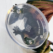 Mini - D&D Icons of the Realms : Fizban's Treasury of Dragons : Deep Dragon Wyrmling 7/46