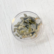 Mini - D&D Icons of the Realms : Fizban's Treasury of Dragons : Hoard Scarab 5/46