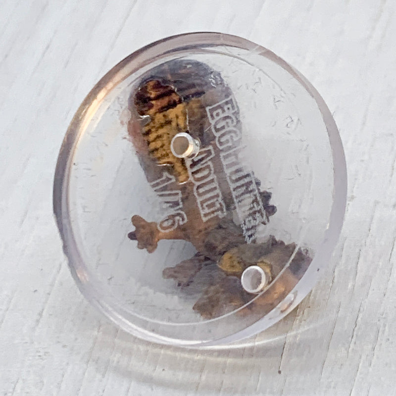 Mini - D&D Icons of the Realms : Fizban's Treasury of Dragons : Egg Hunter Adult 1/46