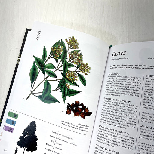 Herbalist's Primer Standard Edition