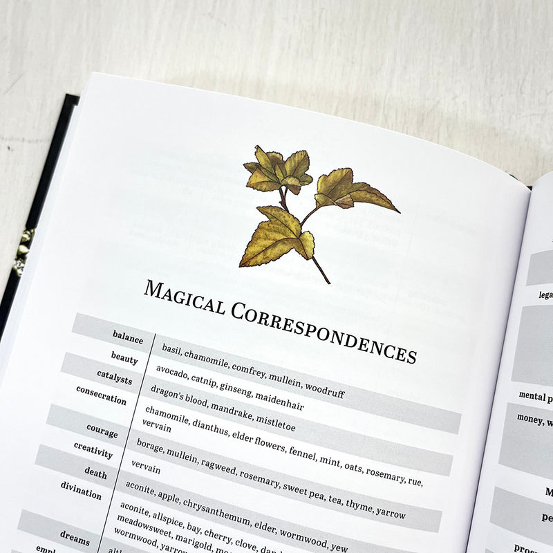 Herbalist's Primer Standard Edition