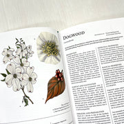 Herbalist's Primer Standard Edition