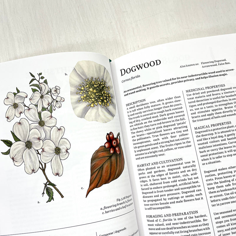 Herbalist's Primer Standard Edition