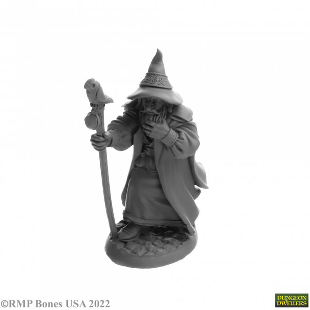 Mini - Reaper Bones USA 07068 Landol Griswold Human Wizard — Twenty Sided