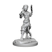 Mini - D&D Nolzur's Marvelous : Shifter Fighter