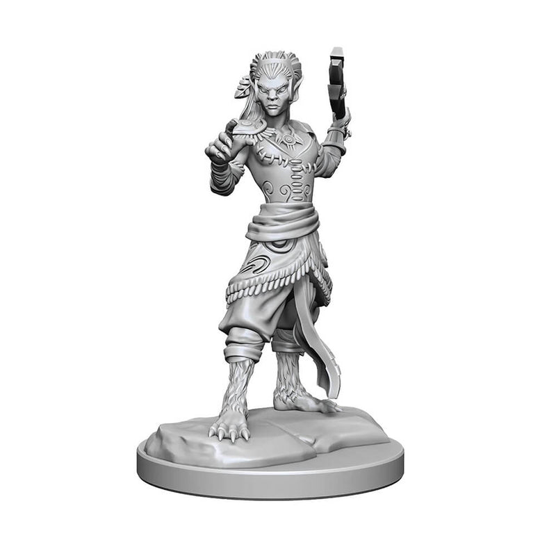 Mini - D&D Nolzur's Marvelous : Shifter Fighter