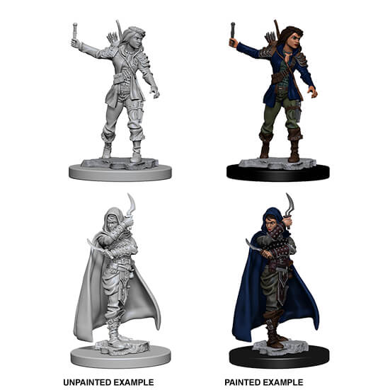Mini - Pathfinder Deep Cuts : Human Rogue (Female)