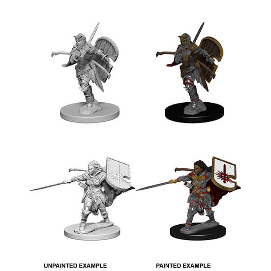 Mini - Pathfinder Deep Cuts : Human Paladin (Female)