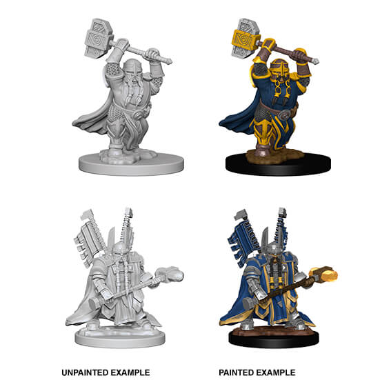 Mini - D&D Nolzur's Marvelous : Dwarf Paladin (Male)
