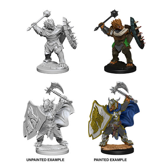 Mini - D&D Nolzur's Marvelous : Dragonborn Paladin (Male)