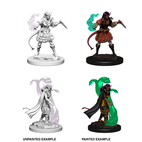 Mini - D&D Nolzur's Marvelous : Tiefling Sorcerer (Female)