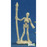 Mini - Reaper Bones 77244 Skeleton Warrior Spearman (3ct)