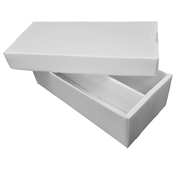 Box - Cardboard Storage : 2-row Shoebox