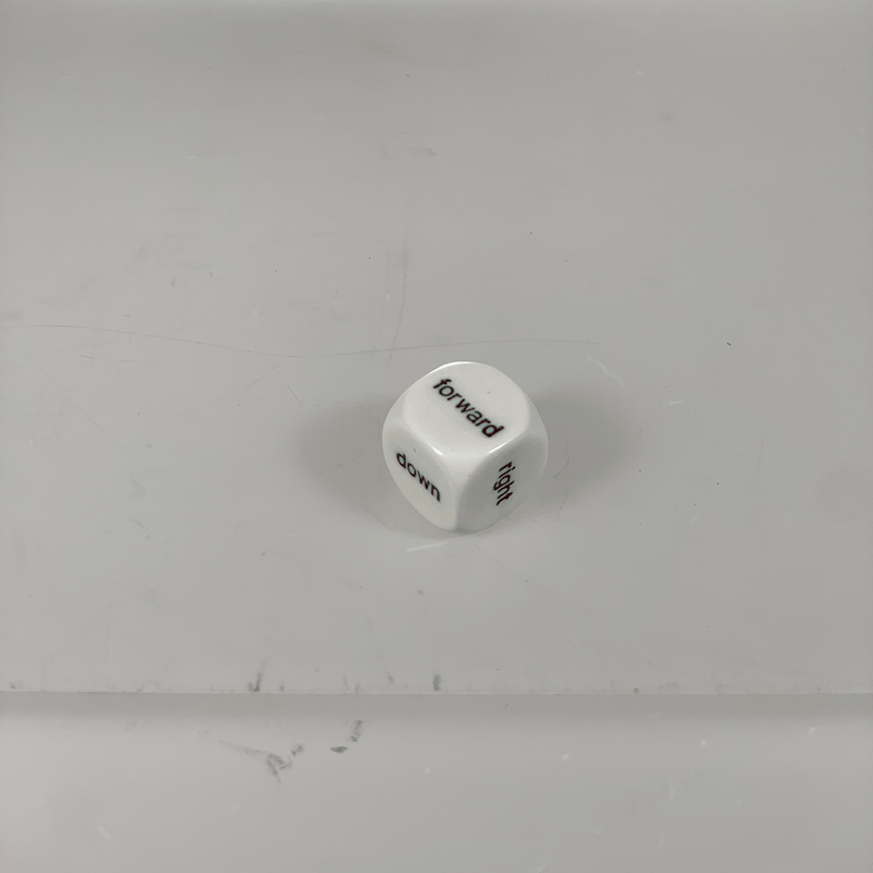 Polyhedral Dice d6 (16mm) Direction