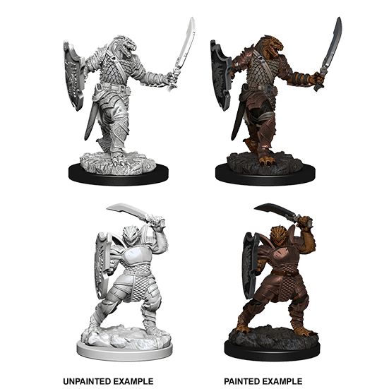 Mini - D&D Nolzur's Marvelous : Dragonborn Paladin (Female)