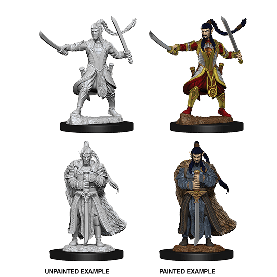 Mini - D&D Nolzur's Marvelous : Elf Paladin (Male)