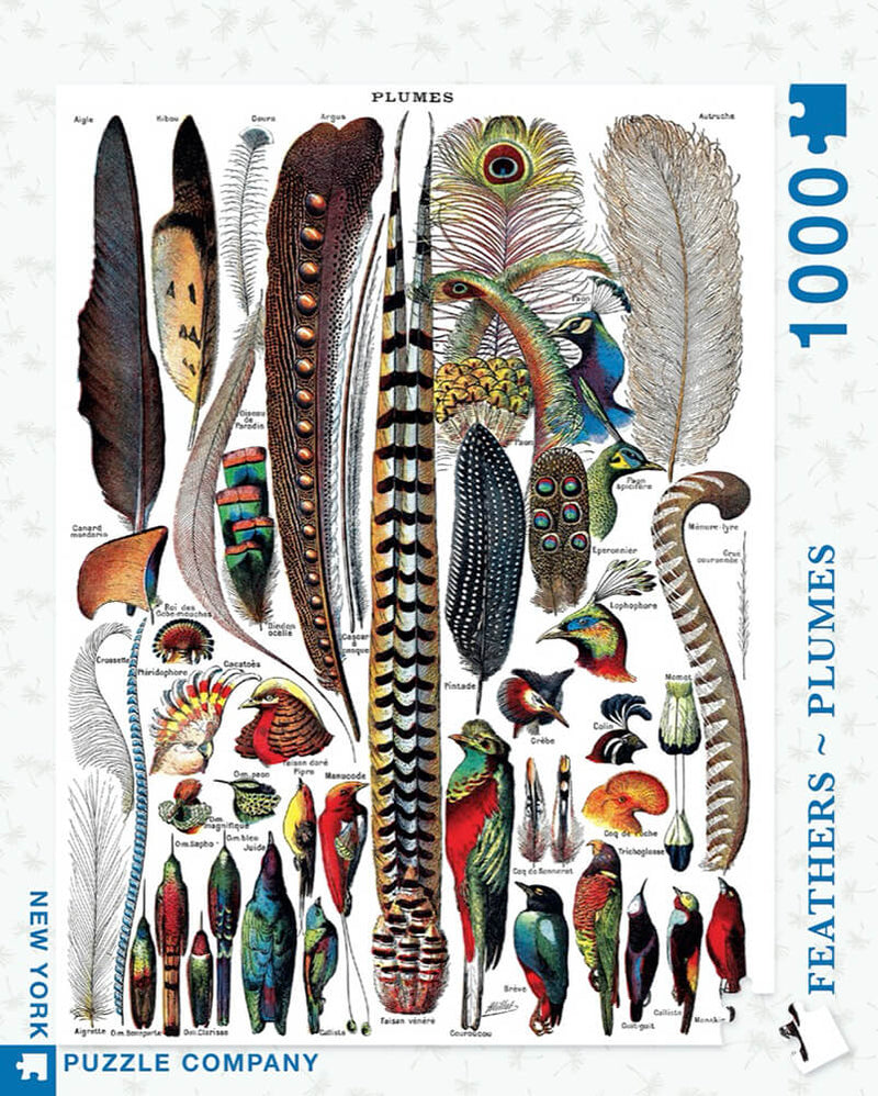 Puzzle (1000pc) Feathers - Plumes