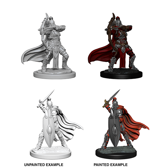 Mini - Pathfinder Deep Cuts : Female Knights / Gray Maidens