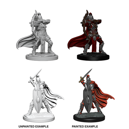 Mini - Pathfinder Deep Cuts : Female Knights / Gray Maidens