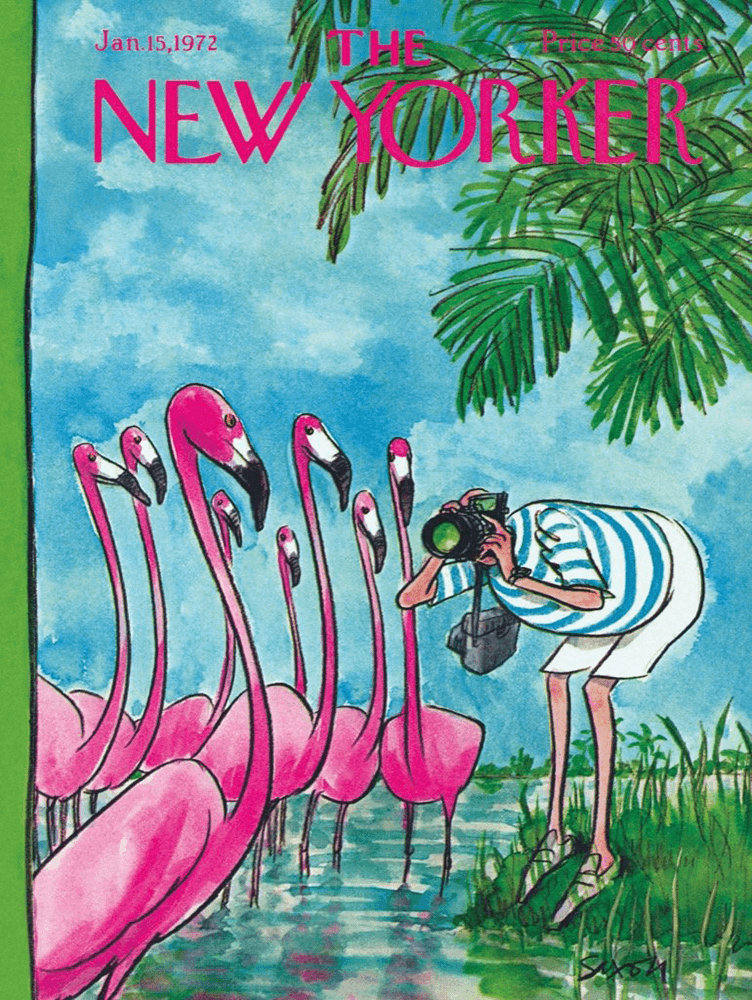 Puzzle (500pc) New Yorker : Flamingo Photographer