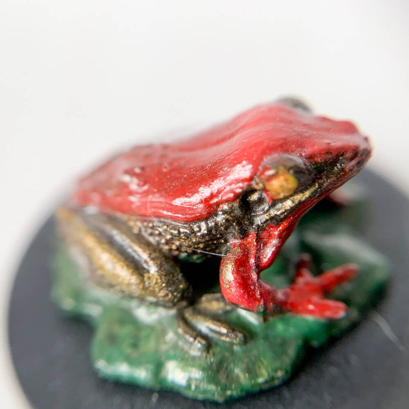 Pro Painted Miniature by Lauren Bilanko |  Hektor the Frog