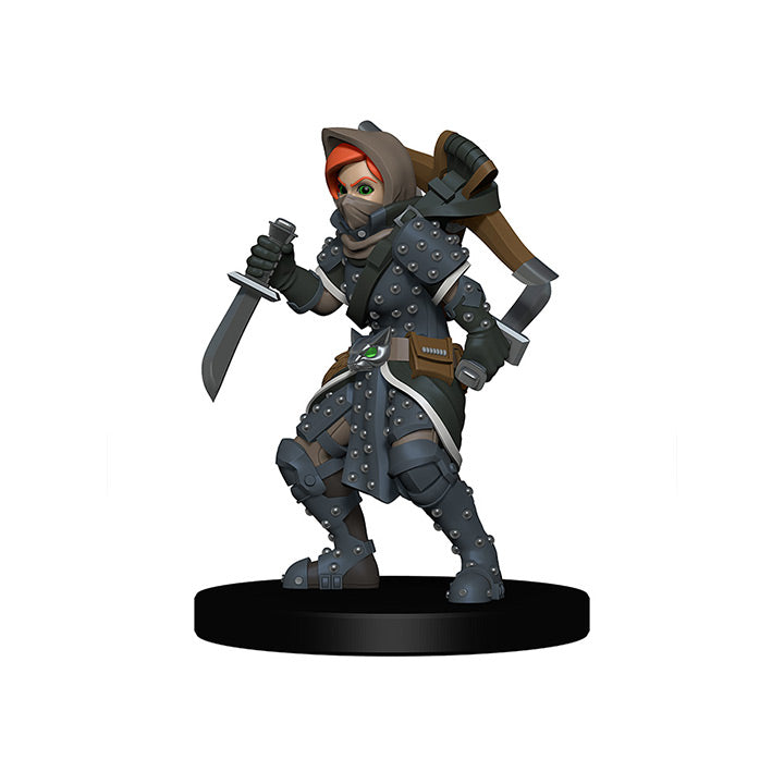 Mini - Wardlings : Girl Rogue and Badger