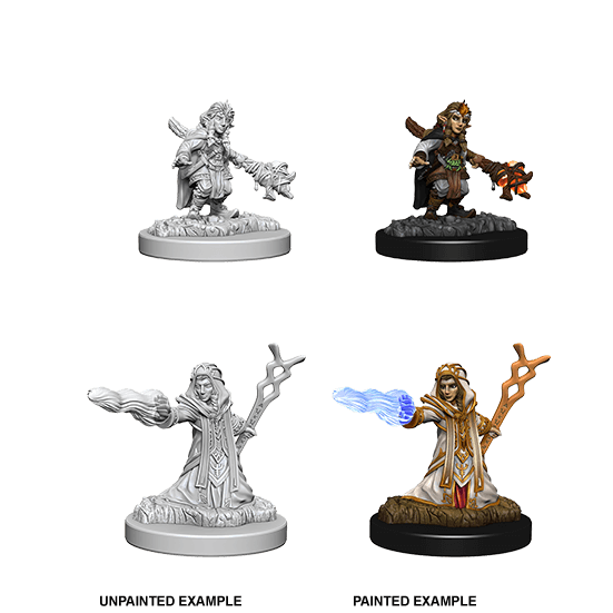 Mini - D&D Nolzur's Marvelous : Gnome Wizard (Female)