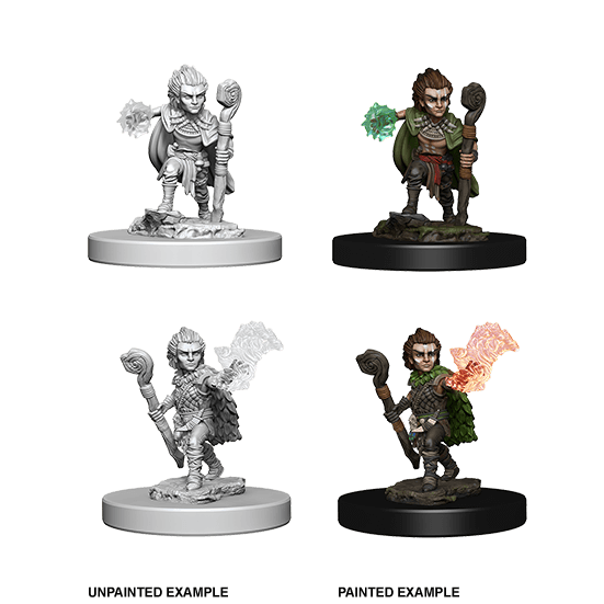 Mini - Deep Cuts : Gnome Druid (Male)