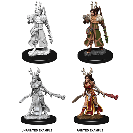 Mini - D&D Nolzur's Marvelous : Human Druid (Female)