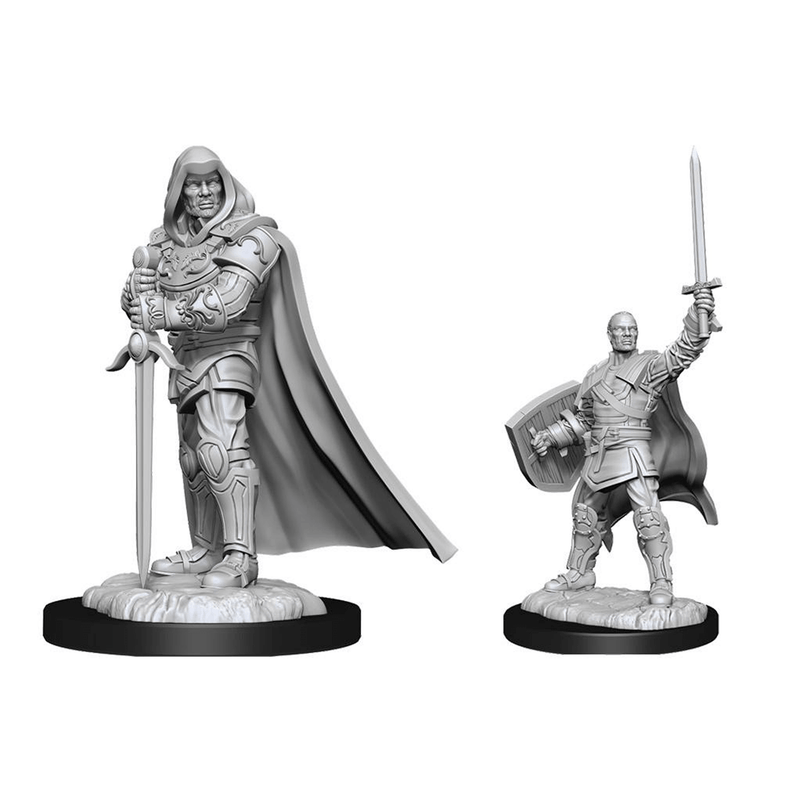 Mini - D&D Nolzur's Marvelous : Human Paladin (Male)