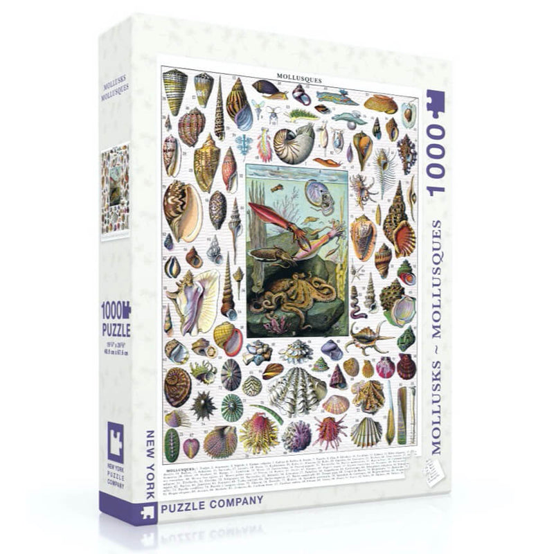Puzzle (1000pc) Mollusks