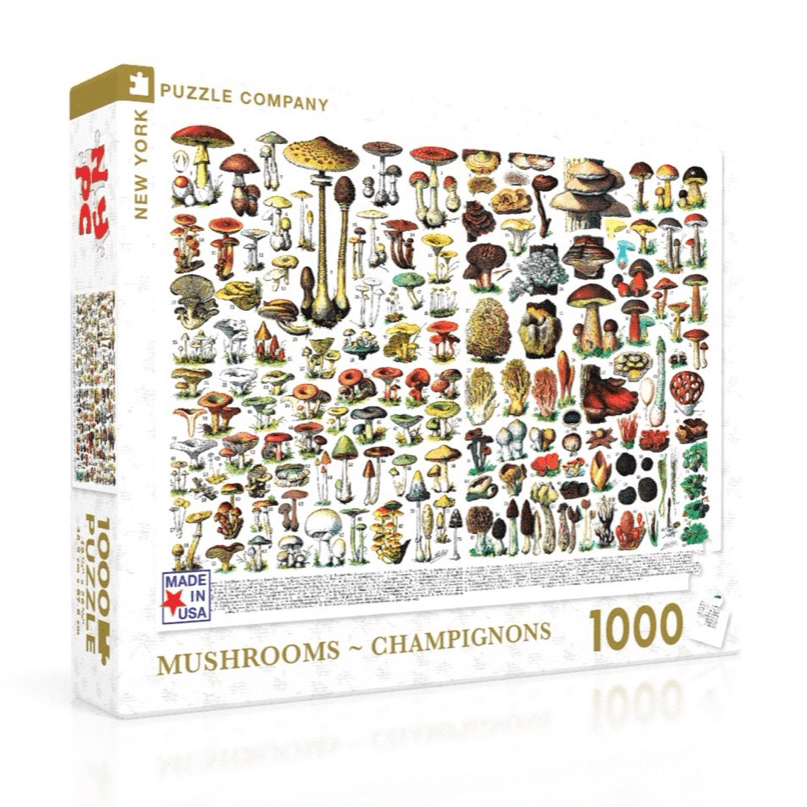 Puzzle (1000pc) Vintage : Mushrooms - Champignons
