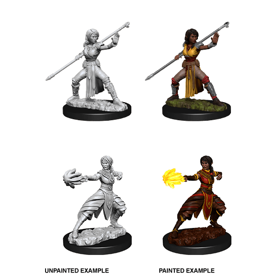 Mini - D&D Nolzur's Marvelous : Half-Elf Monk (Female)