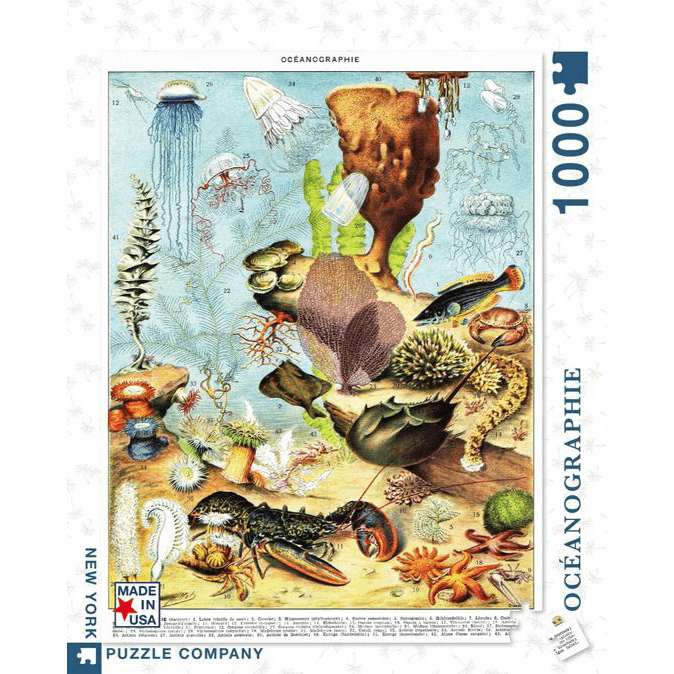 Puzzle (1000pc) Poster : Oceanographie