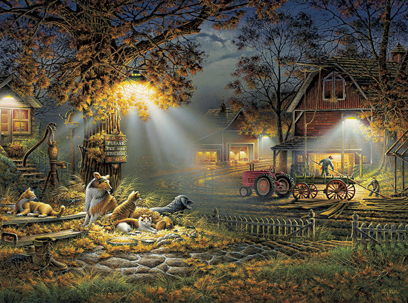 Puzzle (1000pc) Terry Redlin : Our Friends