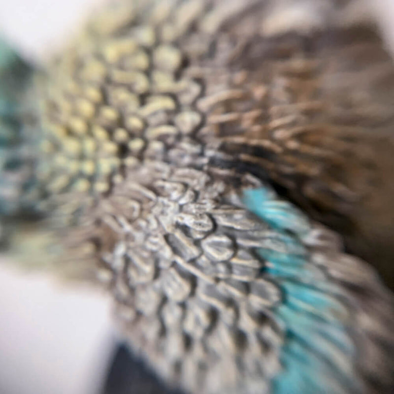 Pro Painted Miniature by Lauren Bilanko | Owlbear Beaky