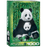 Puzzle (1000pc) Animal Life Photography : Panda and Baby
