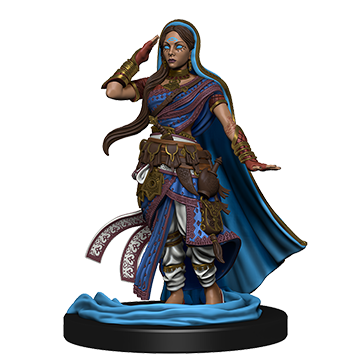 Mini - Pathfinder Battles : 8 Iconic Heroes