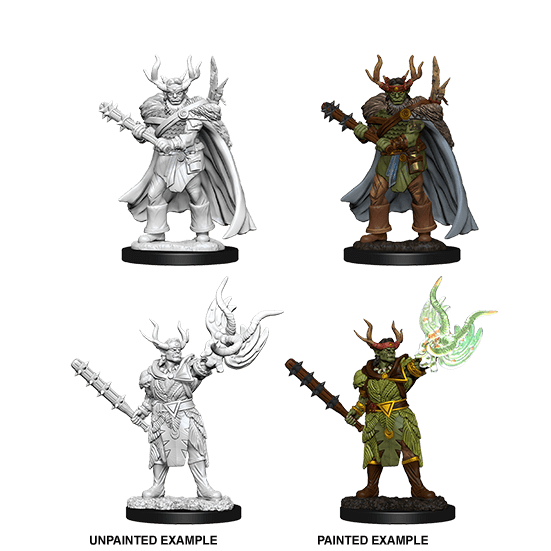 Mini - Pathfinder Deep Cuts : Half-Orc Druid (Male)