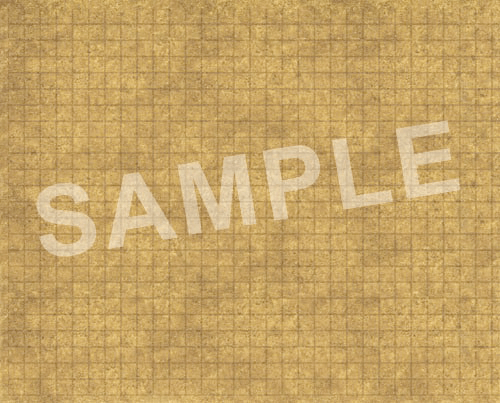 Battlemap Pathfinder Flip Mat : Basic