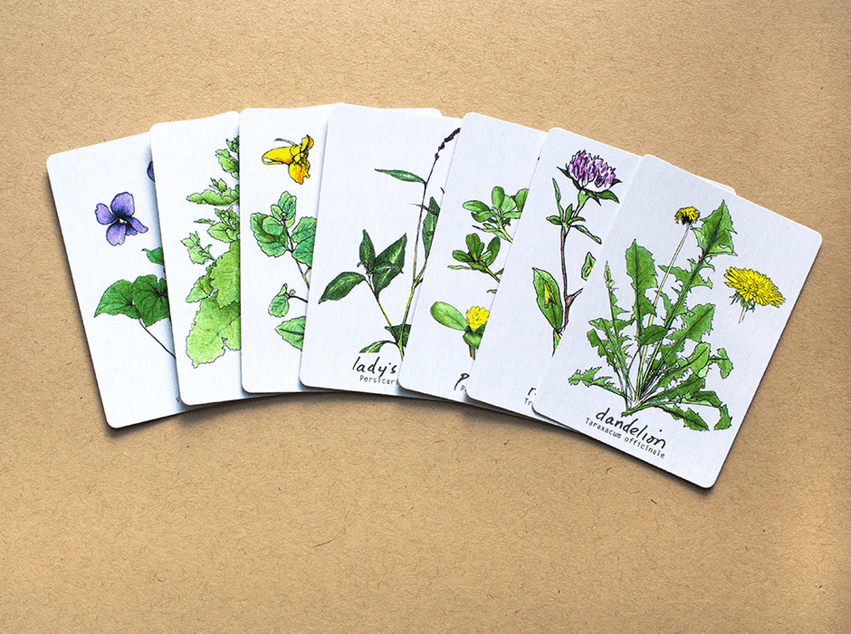 Plant Hunting Memory Card Game