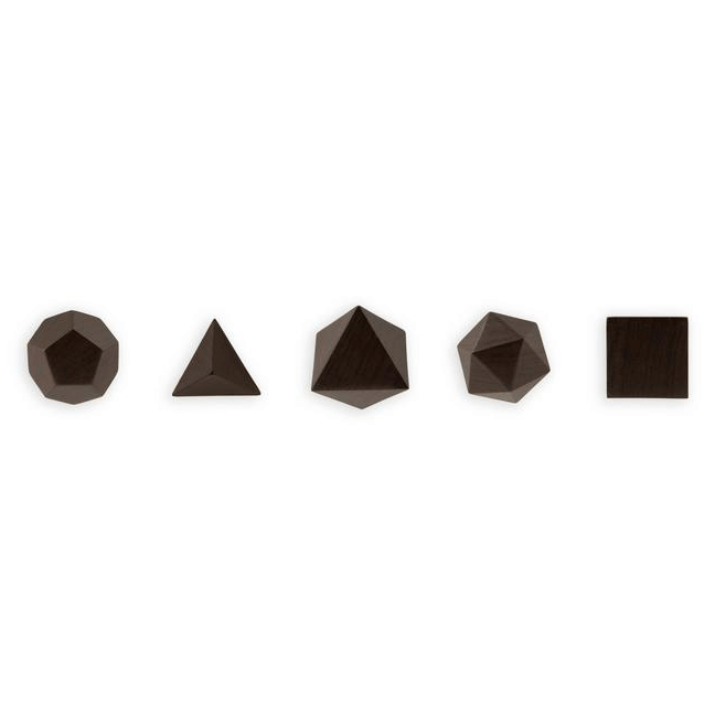 PolyHedra Wood Magnets (5pc) Dark