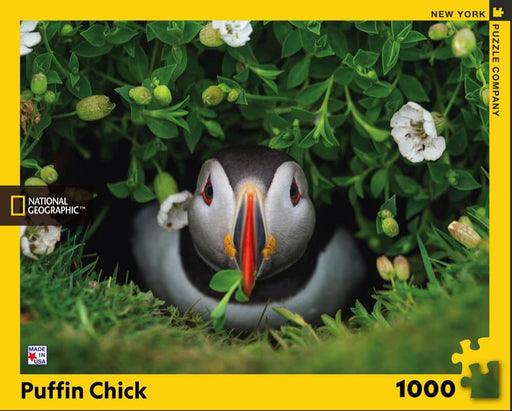 Puzzle (1000pc) National Geographic : Puffin Chick